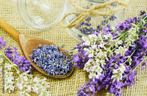 dried and fresh lavenders on sack background