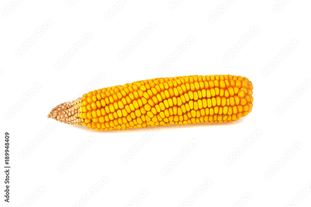 corn isolated on white background corn isolated on white background