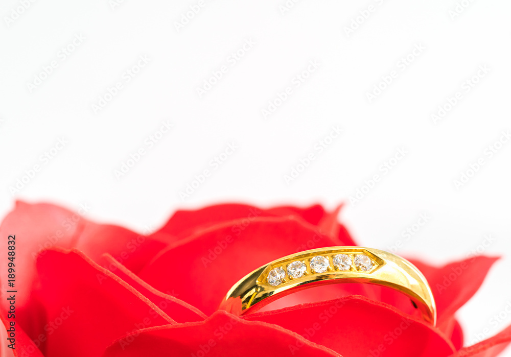 Close up Red roses and gold rings on white Close up Red roses and gold rings on white