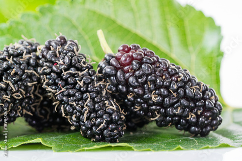 Close up mulberry fruit with green leaf