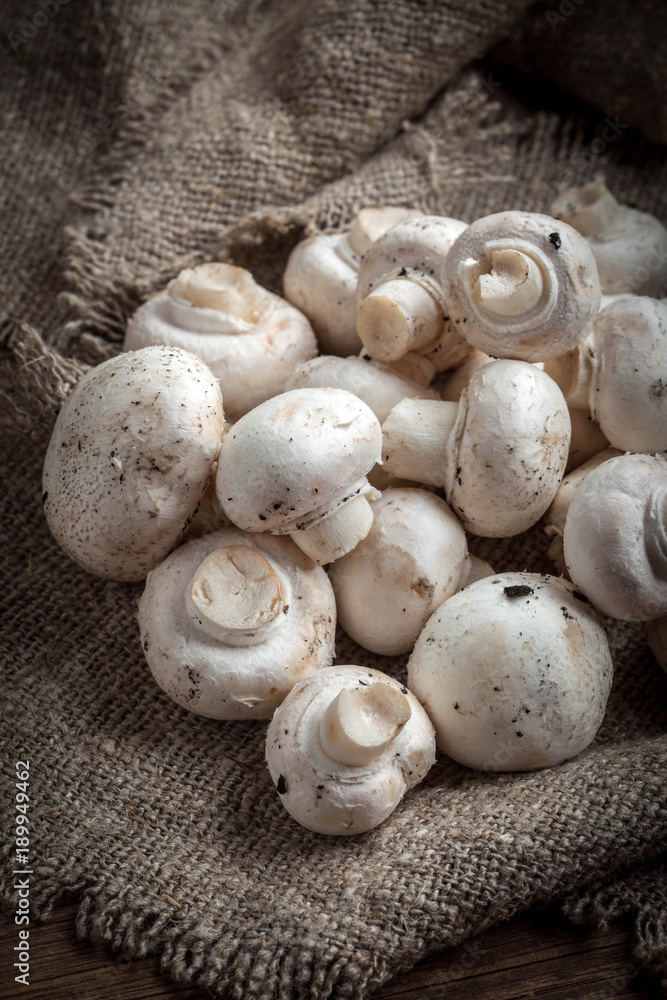 Freshly harvested mushrooms.