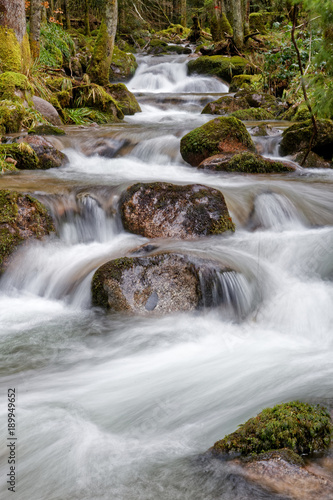 Fototapeta Naklejka Na Ścianę i Meble -  Ruisseau et cascades des Vosges