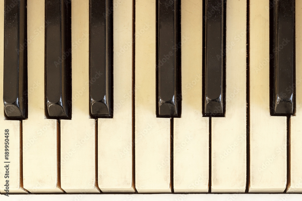 Naklejka premium Piano close-up, musical instrument. learn to play the instrument at home. white large piano. piano keyboard. concert concept.