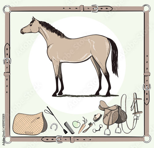 Horse and riding tack tools in leather belt frame. Bridle, saddle, stirrup, brush, bit, harness, whip equine harness equipments. Hand drawing cartoon vector equestrian sport equestrian background set.