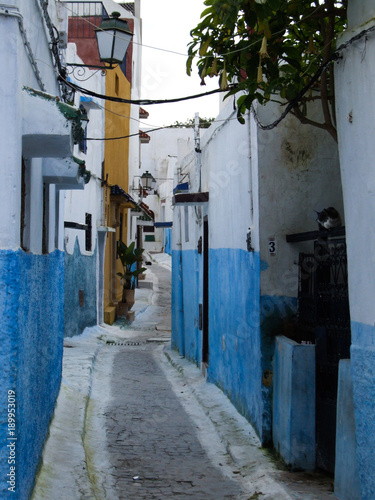 Kasbah des Oudaias, Rabat, Morocco © Luise