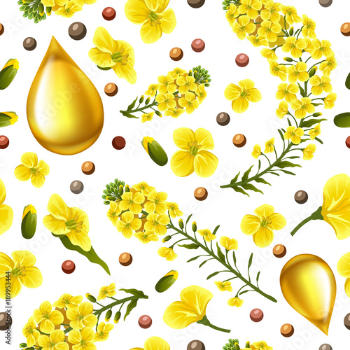 Rape seeds and flowers, canola oil. Brassica napus. Seamless vector pattern.