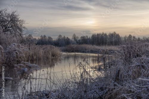  River in the rays of the rising winter sun with vegetation along the banks © Monika