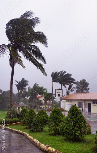 Tropical Typhoon at school located in Tagaytay  Phillipine