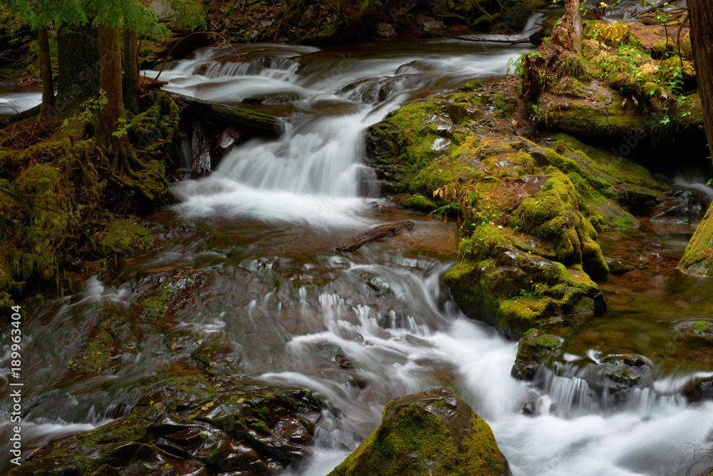 Small mountain creek flows among forest. Panther Creek in Washington. USA Pacific Northwest. Small mountain creek flows among forest. Panther Creek in Washington. USA Pacific Northwest.