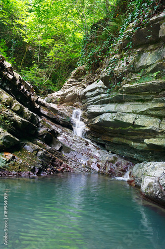 Forested rocks covered with ivy and moss with a flowing little waterfall