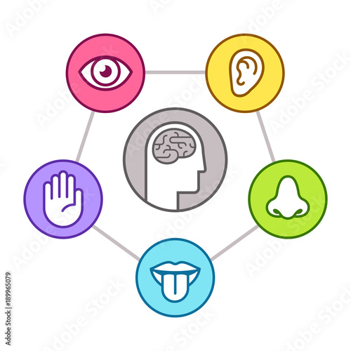 Five senses of perseption