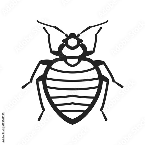 Bedbug insect illustration