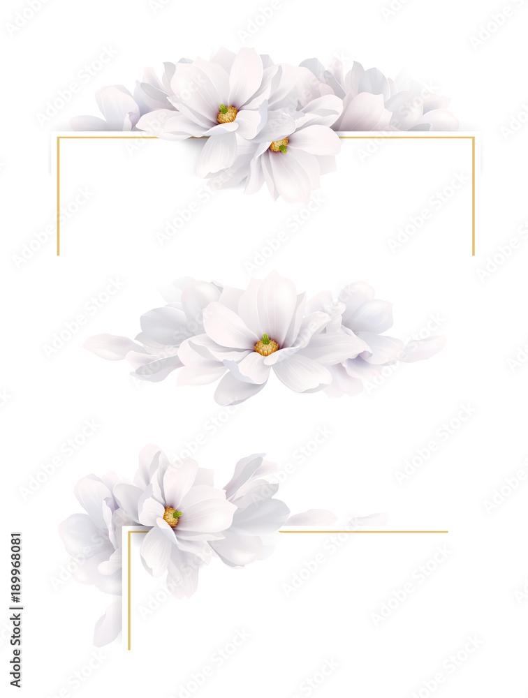 Fototapeta premium Set of three version design of decoration invitation or congratulation cards with elegant flower composition. Blooming white magnolias on the white background.