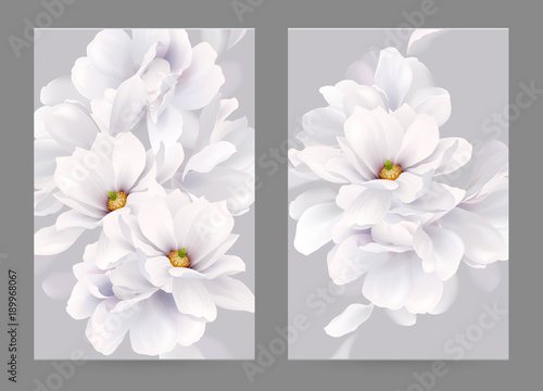 Set of two invitation or congratulation cards with elegant flower composition. Blooming white magnolias formed composition on the gray backgrounds.