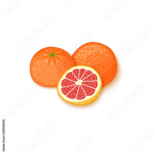 Composition of tropical grapefruit fruits. Vector card illustration. Group of ripe vector citrus pomelo fruit whole and slice for design of food packaging breakfast, detox, cosmetics cream, jam, juice