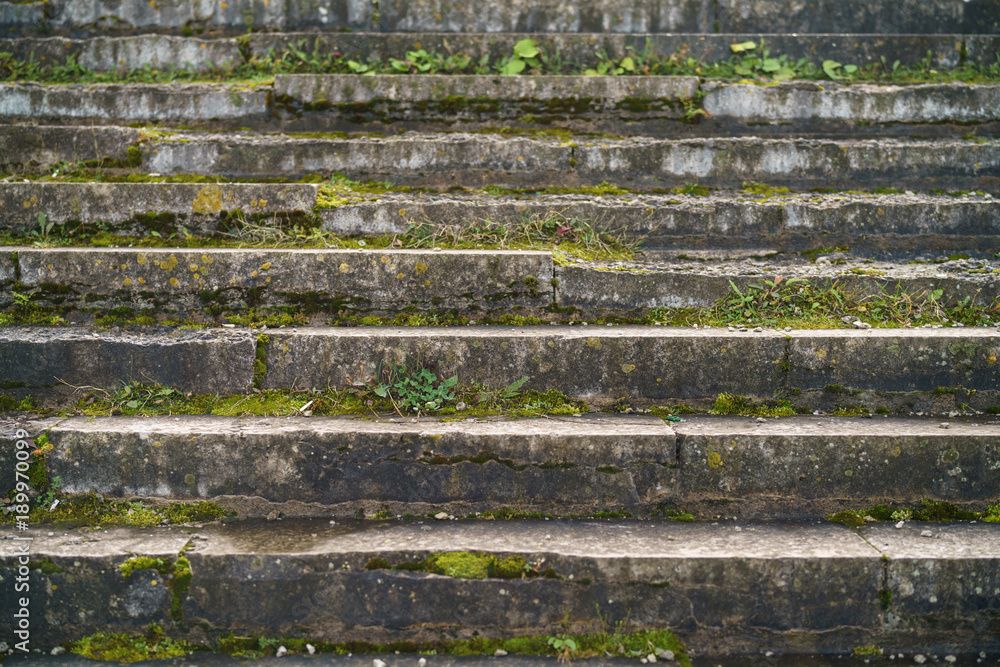 old stone stairs with moss and grass at sunny morning