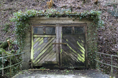 Wooden garage doors are covered with moss