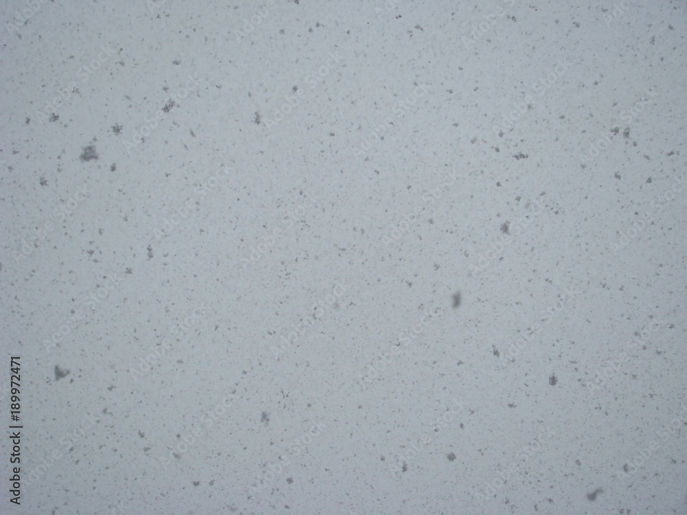 Snow Snow