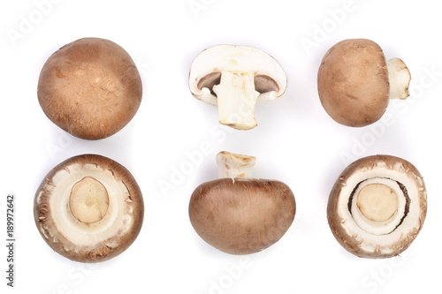 Fresh champignon mushrooms isolated on white background. Top view. Flat lay. Set or collection