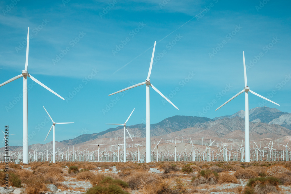 Fototapeta premium Wind generator farm against the blue sky and beautiful landscape