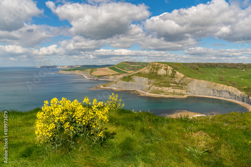View from the South West Coast Path over the Jurassic Coast, near Worth Matravers, Jurassic Coast, Dorset, UK photo
