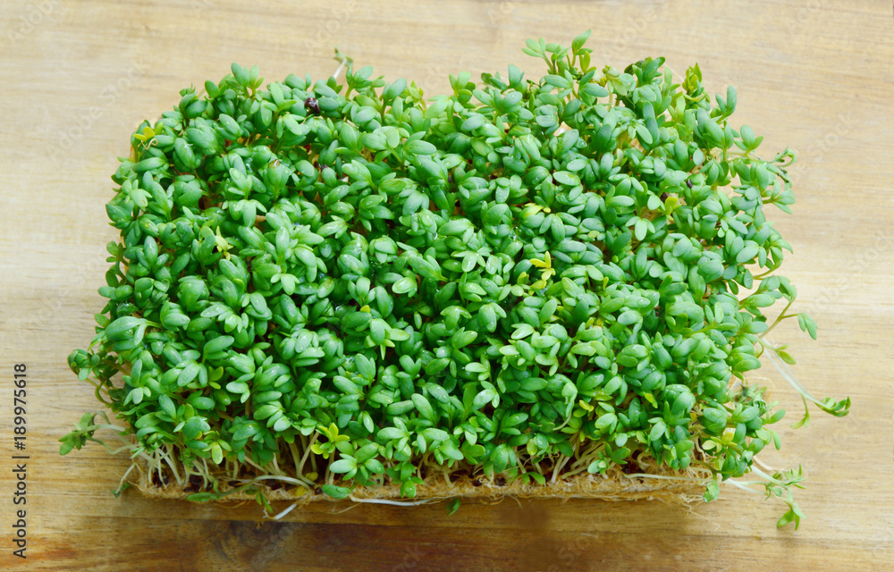 Garden cress on wooden background Garden cress on wooden background