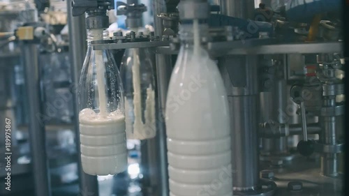 Conveyor line for pouring dairy products into plastic bottles at a milk factory in full-HD resolution in slowmotion. A lot of bottles go around the conveyor belt