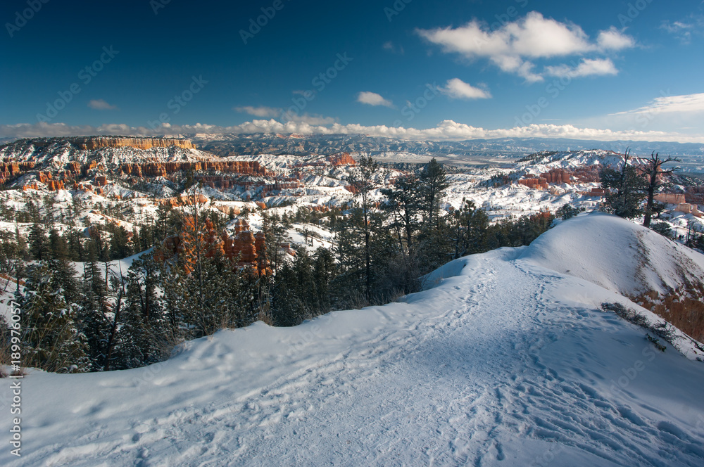 Winter Trail in Utah
