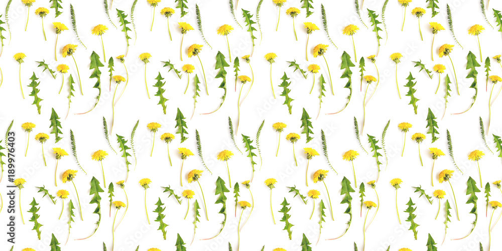 Abstract floral background. Seamless pattern from plants, wild flowers, isolated on white background, flat lay, top view. The concept of summer, spring, Mother's Day, March 8. Abstract floral background. Seamless pattern from plants, wild flowers, isolated on white background, flat lay, top view. The concept of summer, spring, Mother's Day, March 8.