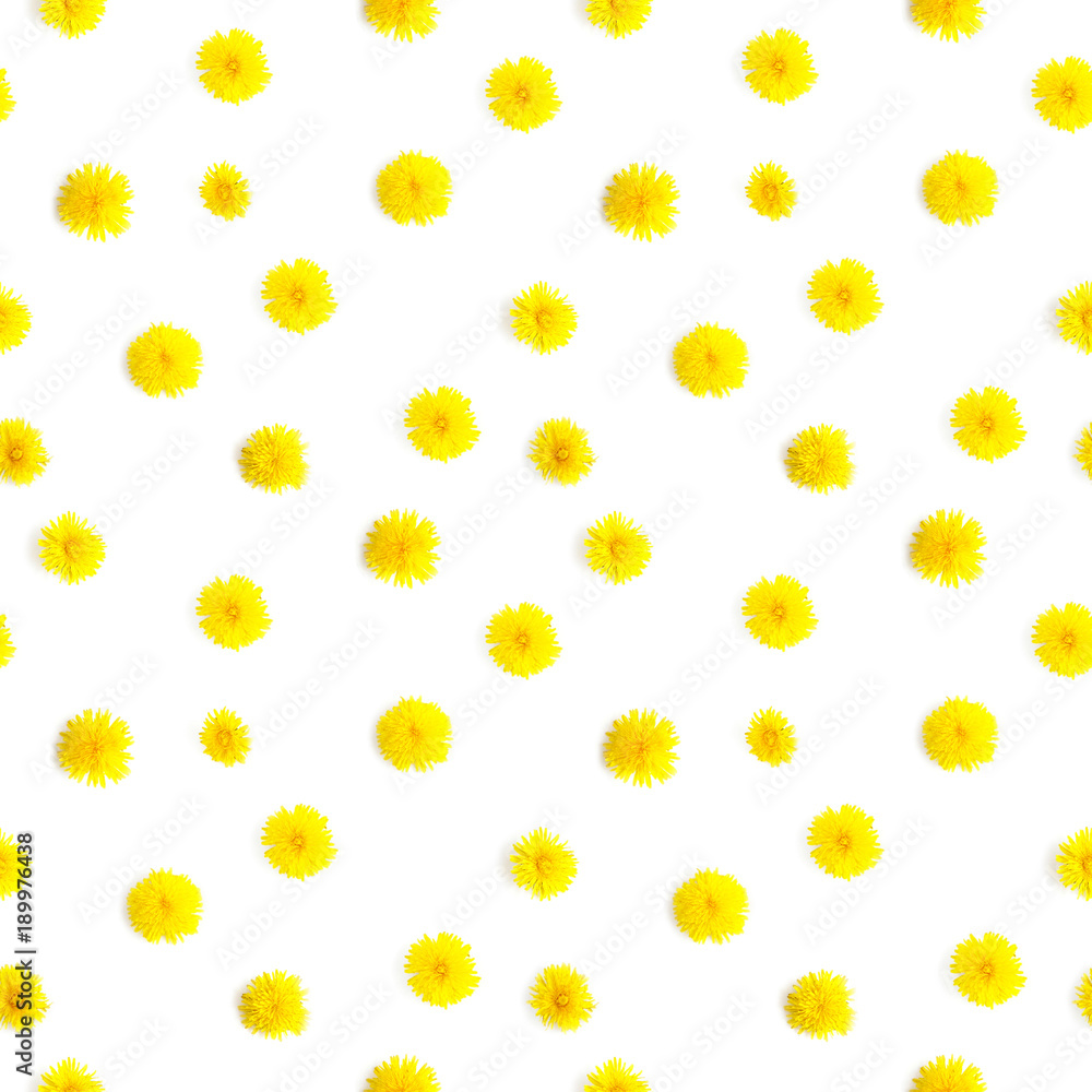 Abstract floral background. Seamless pattern from plants, wild flowers, isolated on white background, flat lay, top view. The concept of summer, spring, Mother's Day, March 8. 