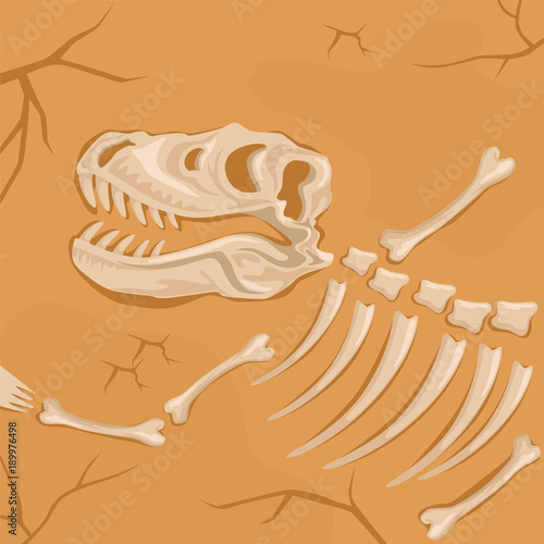 Fossilized dinosaur skeleton buried in the ground. Tyrannosaurus Rex. Archaeological excavation. Paleontology concept. Ancient remains of prehistoric reptile. Flat vector