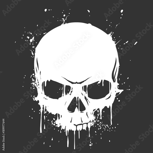 Grunge skull paint photo
