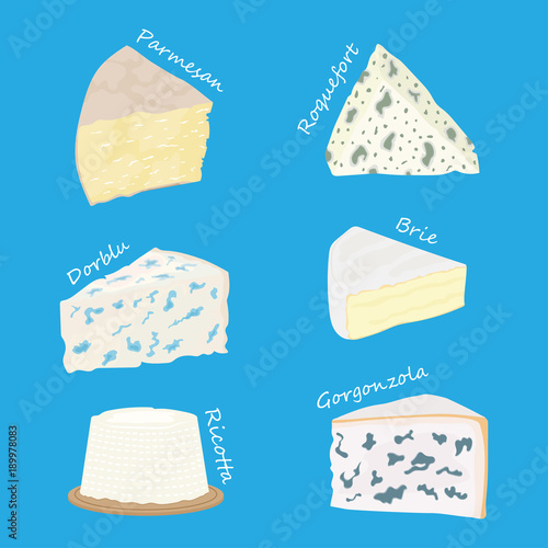 Collection of cheeses parmesan, brie, roquefort cheese, gorgonzola