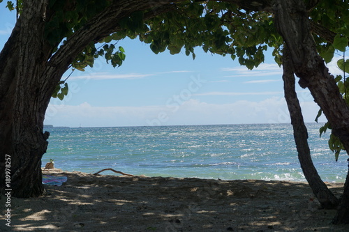 Côte et plage MARTINIQUE 