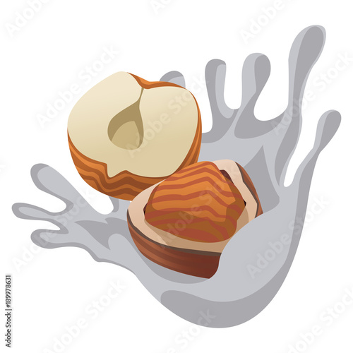Nuts cream splash icon vector illustration graphic design