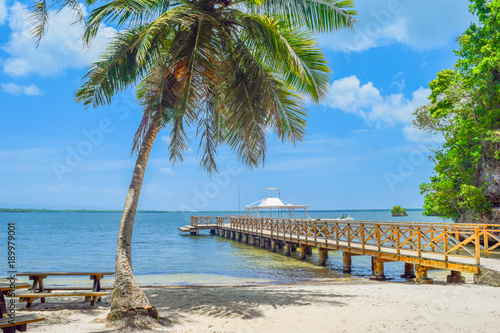 Wunderschöne Palme am Sandstrand, Steg führt in das blaue Wasser, blauer Himmel, Karibik