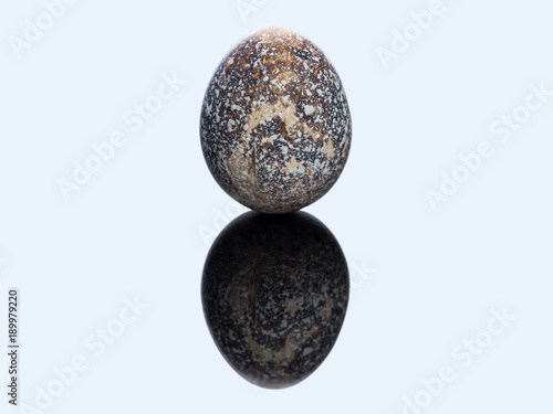 Quail egg on black acrylic surface with reflection. Fine art photography. Macro. 
