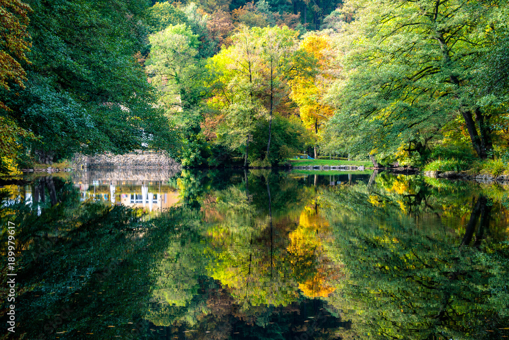 Beautiful autumn colored trees reflecting in a pond called the 