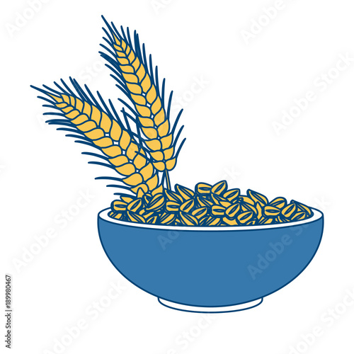 Oat flakes bowl icon vector illustration graphic design