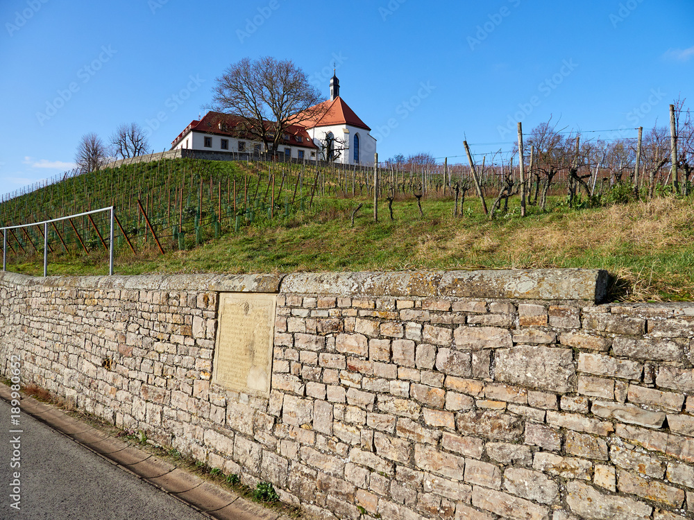 Vogelsburg und Weinberge an der Volkacher Mainschleife, Unterfanken, Bayern, Deutschland