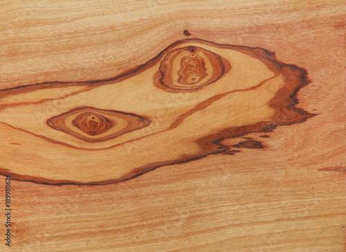 Wood texture close-up