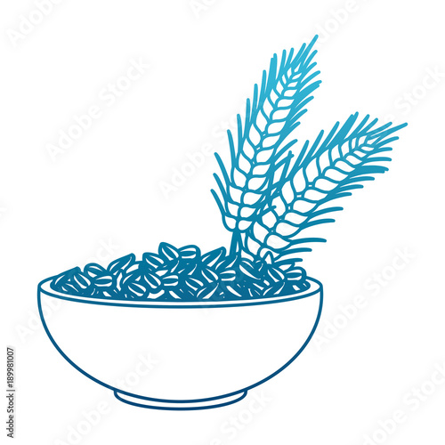 Oat flakes bowl icon vector illustration graphic design