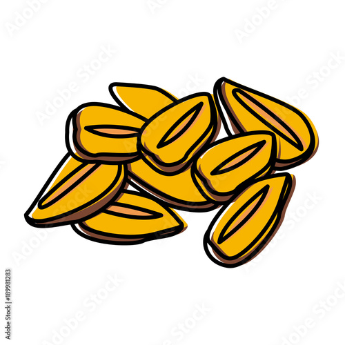 Oat flakes isolated icon vector illustration graphic design