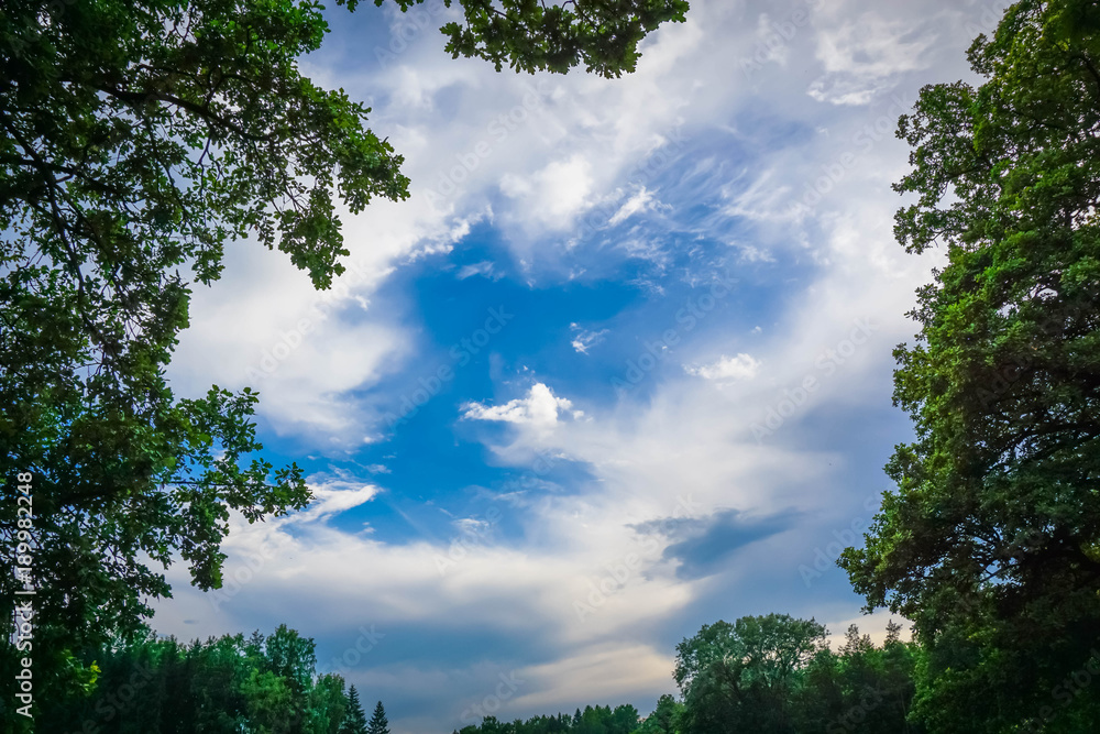 blue sky and clouds5 blue sky and clouds5