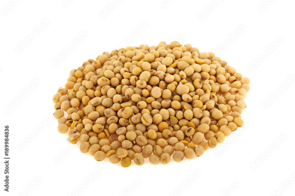 soybean isolated on white background soybean isolated on white background