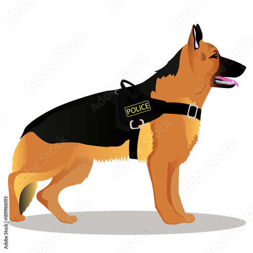 German shepherd Police dog