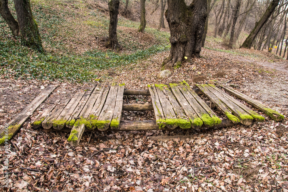 Fototapeta premium Kosutnjak , is a park-forest and urban neighborhood of Belgrade, the capital of Serbia.