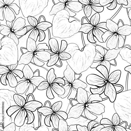 Viola odorata vector black lines seamless pattern