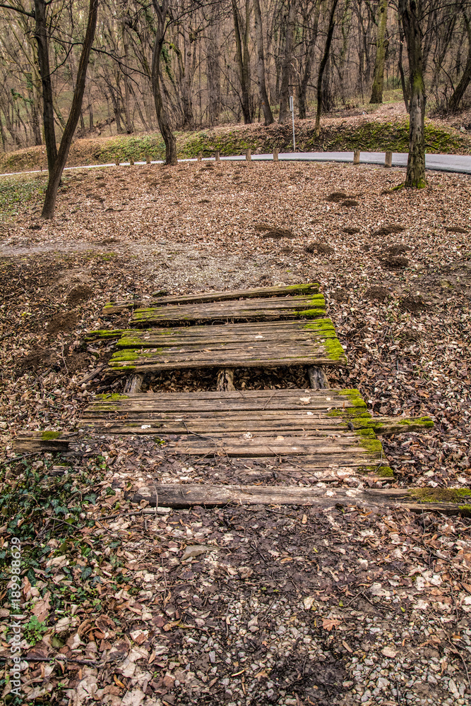 Fototapeta premium Kosutnjak , is a park-forest and urban neighborhood of Belgrade, the capital of Serbia.