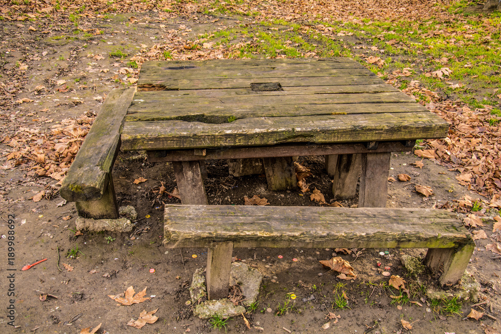 Fototapeta premium Kosutnjak , is a park-forest and urban neighborhood of Belgrade, the capital of Serbia.